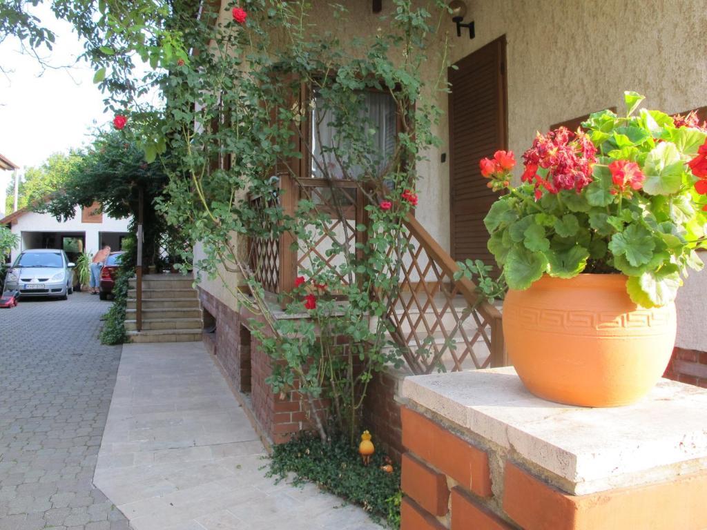 Foki Apartman โชพรอน ภายนอก รูปภาพ